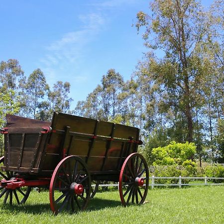 ピラシカーバ Casa De Campo Magnificaヴィラ エクステリア 写真