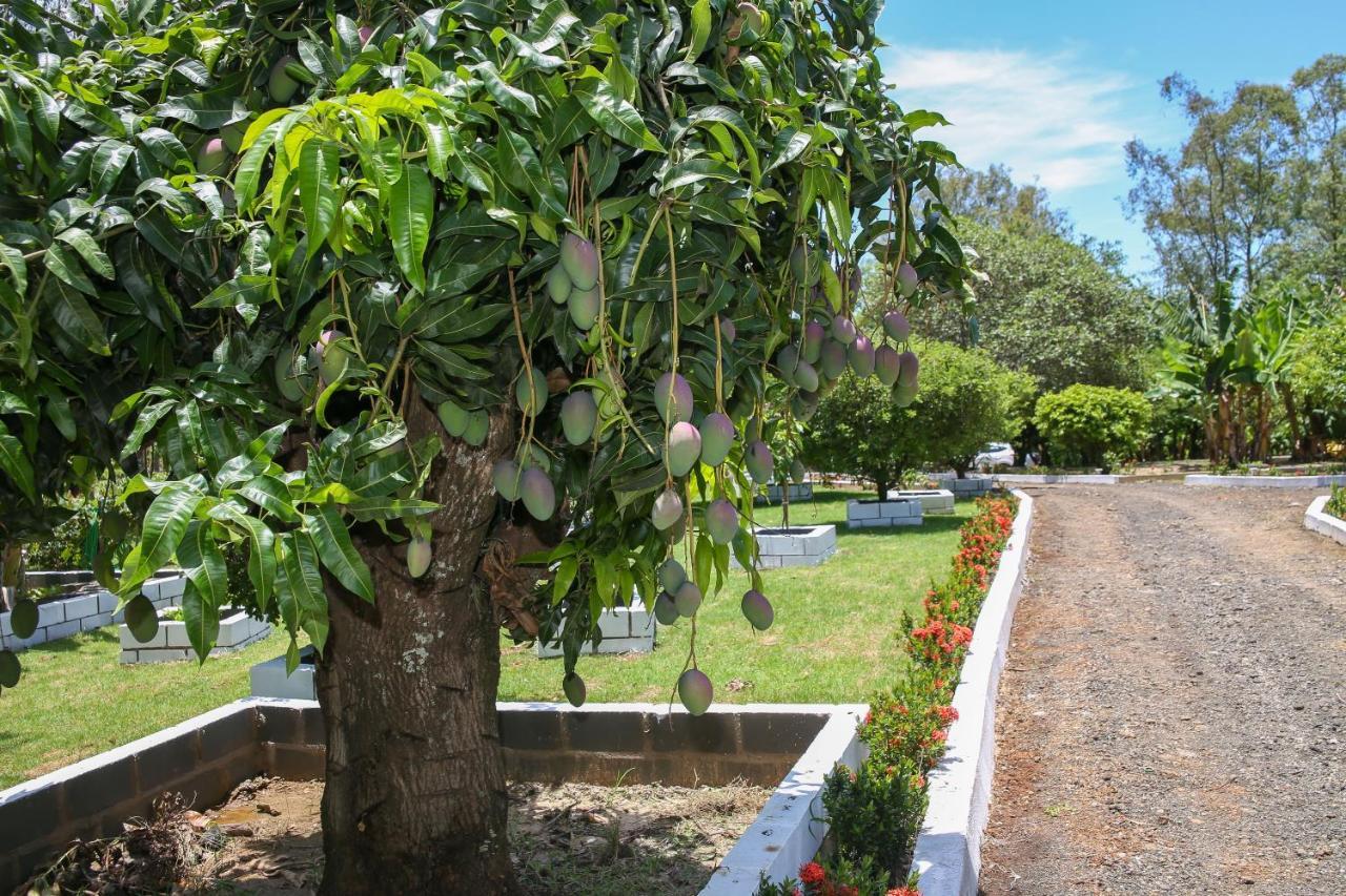 ピラシカーバ Casa De Campo Magnificaヴィラ エクステリア 写真